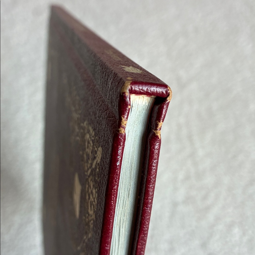 Alice in Wonderland Hardcover Book - Picture 9 of 9